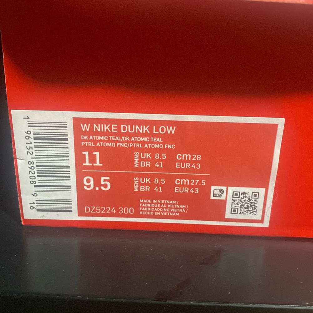 Brand new Nike dunk low